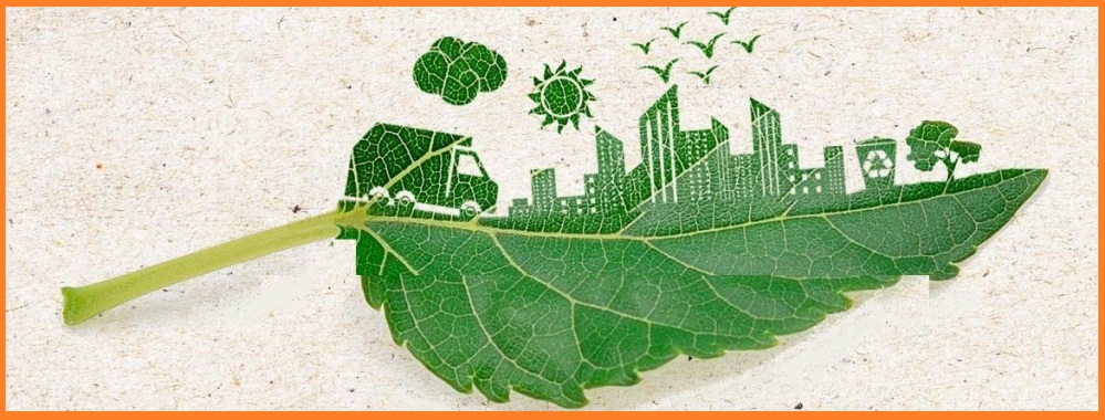 SM Ecologica srl Roma