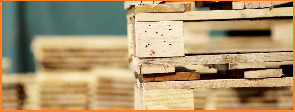 smaltimento rifiuti pericolosi in legno Roma - SM Ecologica