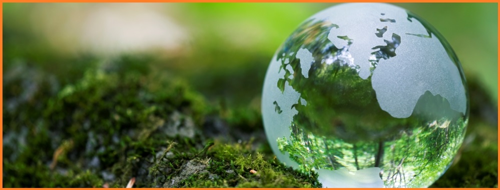 Bonifiche ambientali Roma - SM Ecologica